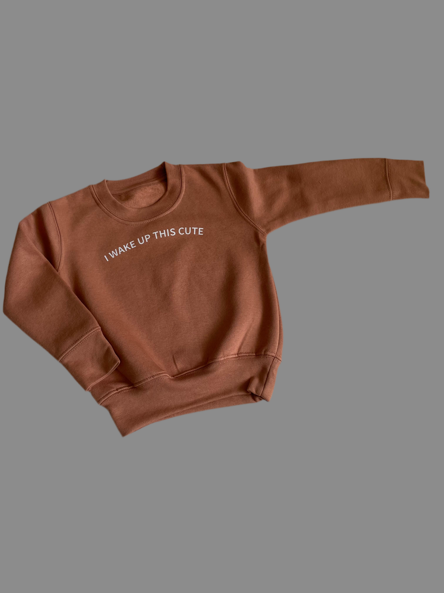 Coral I Wake Up This Cute Sweatshirt