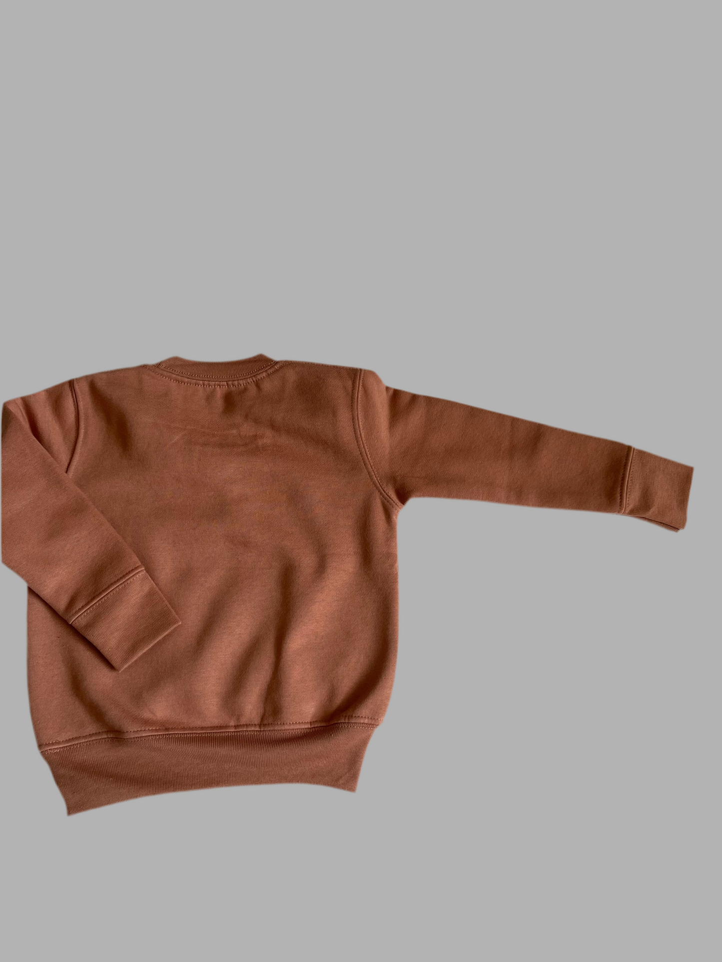 Coral Happy Little Human Sweatshirt - Little Moo Baby