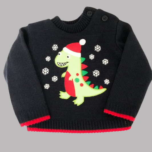 Navy Christmas Dinosaur Jumper