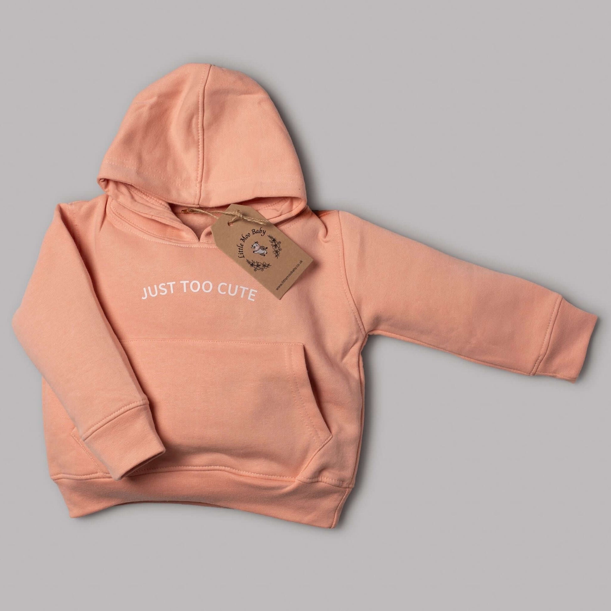 Dusky Pink Just Too Cute Hoodie - Little Moo Baby